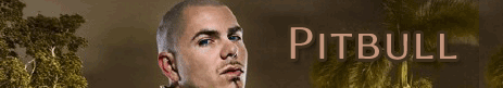 pitbull